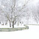 신종목장 이미지