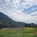 문화동021 | 23년 서른 세번째 캠핑 in 순창마실오토캠핑장 with 온새미로 crew 정모캠 두번째 이야기(231006~09)