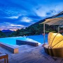 포레스트리솜 이미지