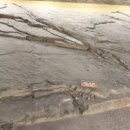 경남체육고등학교 기숙사 이미지