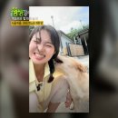 유룡고택