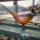 대장군전통식품 이미지