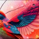 세모광고디자인
