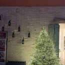 서현 황제한의원 | 동탄맛집 동탄북광장 맛집 이베로 구워주는 고기집 이베리코 악어살 동탄아이누리한의원 회식 후기💛