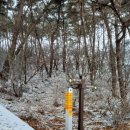 교룡산 둘레길 | 전북천리길 남원 교룡산둘레길