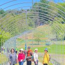 삼정삼거리 이미지