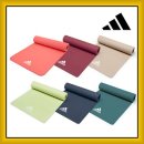 매트 필라테스 이미지