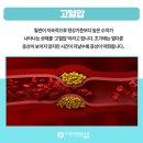 365당뇨&혈관건강센터