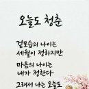 5월19일 화요일출석부 좋은명언 이미지