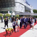 하루배움 체험 특강 이미지