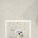 아뜰리에 멍 이미지