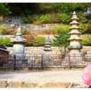 구능 | 천지일보, [여행을 떠나요] 서울에서 40여분, 자연과 사유의 시간...남양주에서 다산의 길을 걸어 보아요