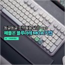 블루마레 | 기계식 키보드 키캡 추천 | 페블온 MOA 블루마레 한글각인 사용 후기
