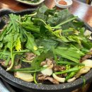 뚱언니네 이미지