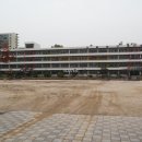 압구정-117 이미지