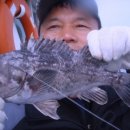 블루마린호 이미지