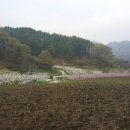 최부자농장 이미지