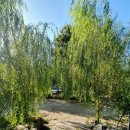 노루메농장 | 대전근교캠핑장 ‡‡ 논산 연산 나그네캠핑장[둘], 애견과 함께하는 힐링캠핑