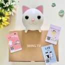 영서초등학교 이미지