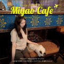 중앙실내인테리어 | 수원 고양이 카페 미야오 광교중앙역 이색 실내 데이트