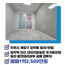 선일공인중개사사무소 이미지