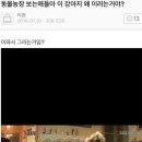 동물농장 Daum카페