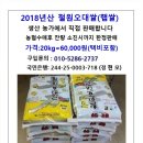 밥맛최고의 2018년산 철원오대쌀 햅쌀 농가 직접 판매합니다 이미지