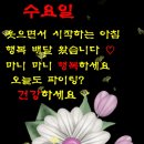 또바기님 이미지