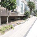 럭키무지개타운 이미지