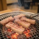 송도갈매기 이미지