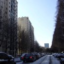 우성아파트상가 인근 이미지