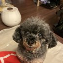 지코바물금 이미지