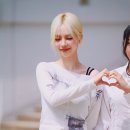 카몽 이미지