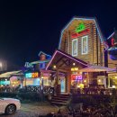 숲속통나무 이미지