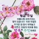 Sad ties. 이미지