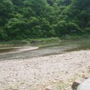 반곡유원지 이미지