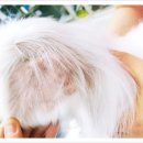 아진동물병원 이미지