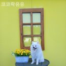 문들길 네이버블로그