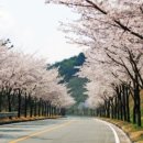 에이원 CC 이미지