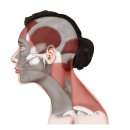 서울정석정형외과의원 이미지