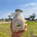 아담 목장 이미지