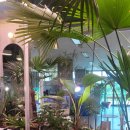 시정담벼락 작은도서관 이미지