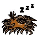 가람어린이집 이미지