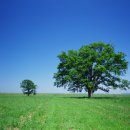 영어회화 이미지