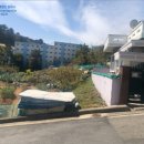 능포초등학교병설유치원 이미지