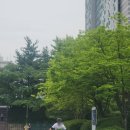 팀타니