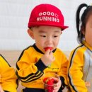오룡농장 네이버블로그