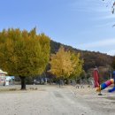 지례초등학교부항분교장 이미지