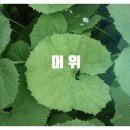 제이짐 휘트니스 이미지