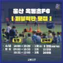 옥동초 앞 네이버블로그